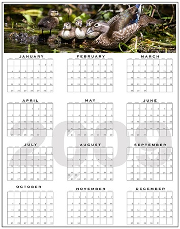 ps-one-sheet-calendar-template-11x171
