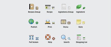 iconsproject