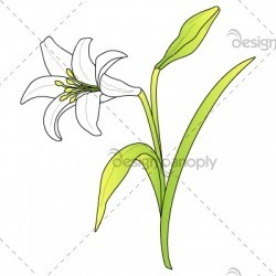 easter-lily-001-01_0
