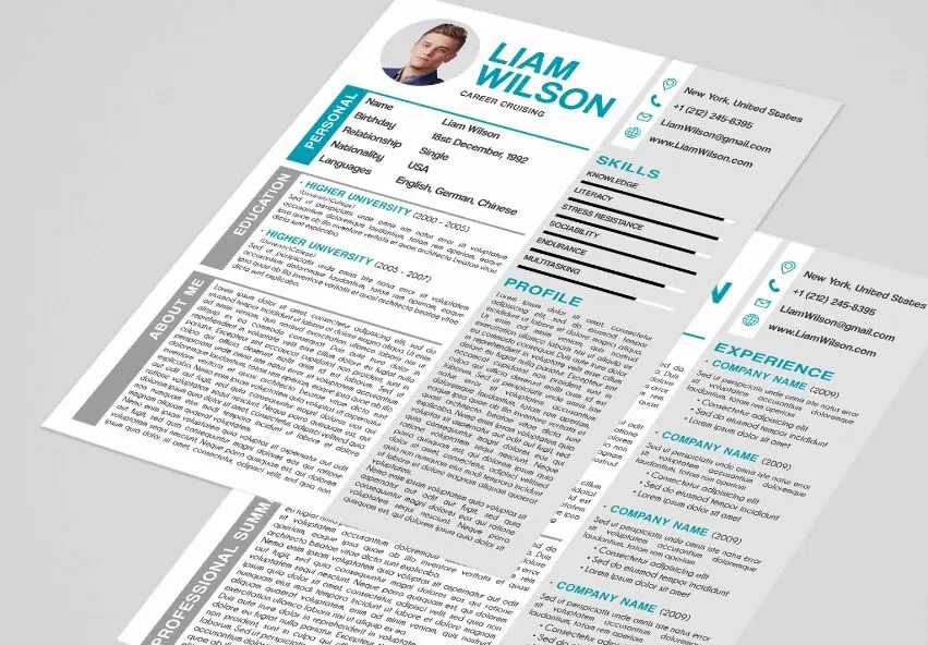 Free Career Cruising Resume Template In Psd