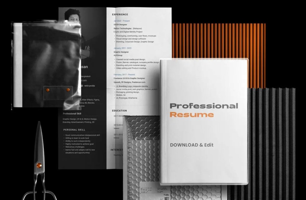 Professional Resume Free Download