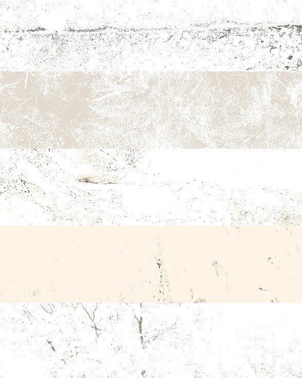 5 Noise & Grunge Textures