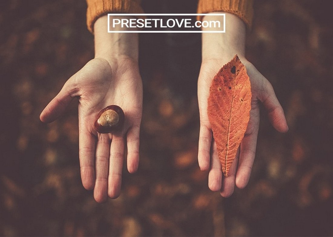 Autumn Vintage – Free Lightroom Preset