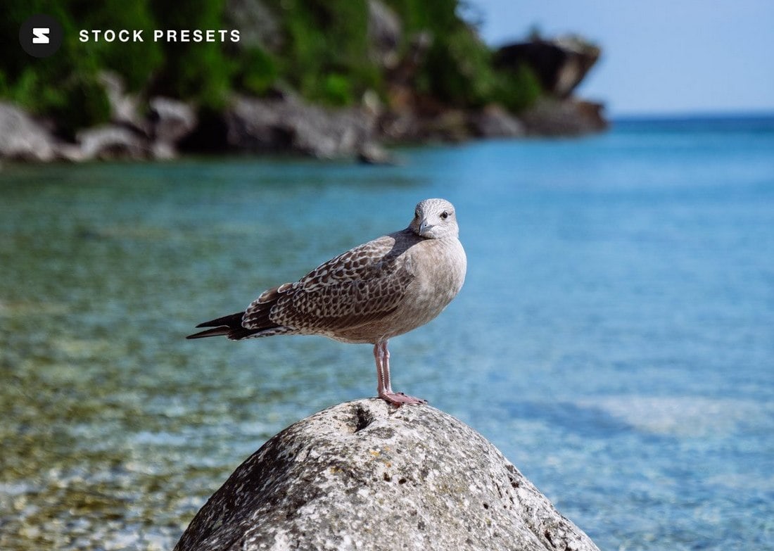 Scenic Color – Free Outdoor Lightroom Preset