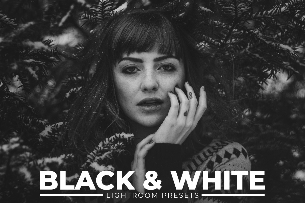 Free B & W Lightroom Presets