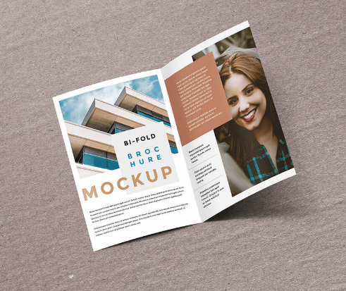 Bi-Fold Brochure Mockup PSD