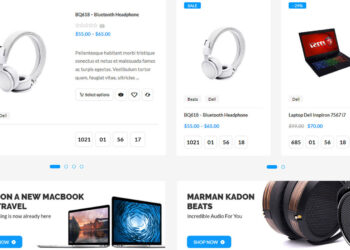 Business WordPress Themes