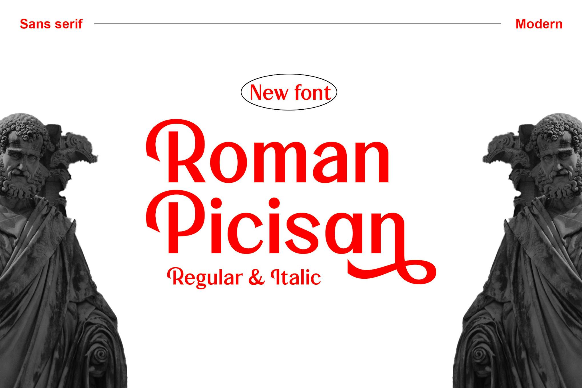 Roman Picisan - Modern Sans Serif Font