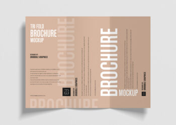 Free Top View Tri Fold Brochure Mockup