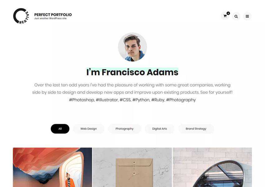 Perfect Clean Elegant kostenloses WordPress-Theme wp responsiv kreativ Designer Agentur Portfolio Kamera